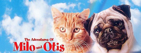 13. The Adventures of Milo and Otis (1986). IMDB: 7.2