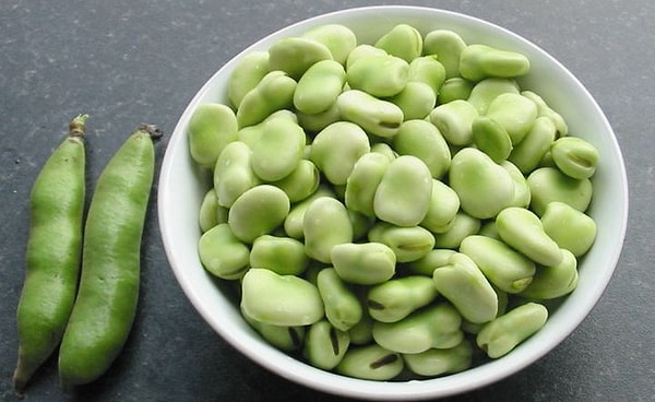 1. Что на фотографии?