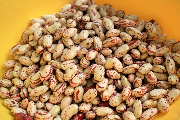 12. Что на фотографии?