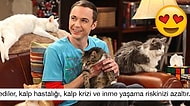 Söylenenlere Aldırmayın: Aslında Hepimiz Sağlığımız İçin Kedili Kadın Olmalıymışız!