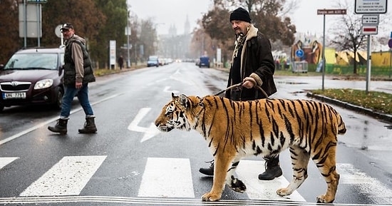 Фотограф делает экстремальные фотографии субкультур по всему миру (18+)