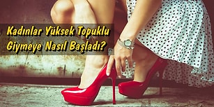 Neden, Niçin, Nasıl? Merak Edilen Enteresan Sorulara Verilmiş 12 Aydınlatıcı Cevap