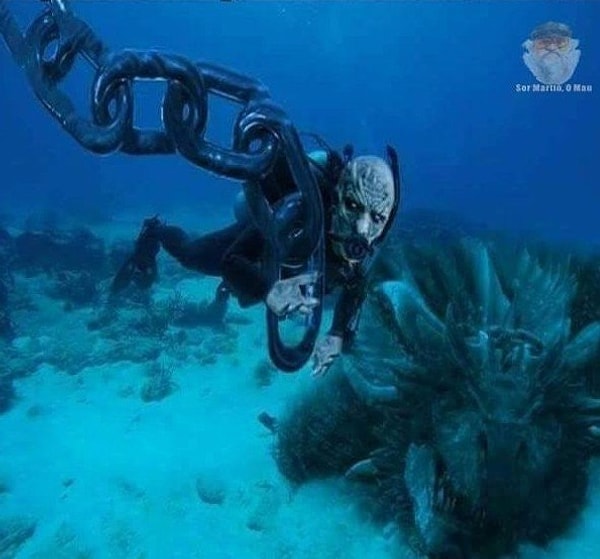 14. Как все было на самом деле