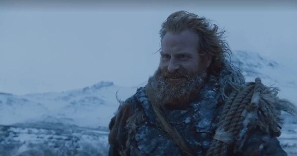 20. Когда заметил, что Пес похож на Бриенну