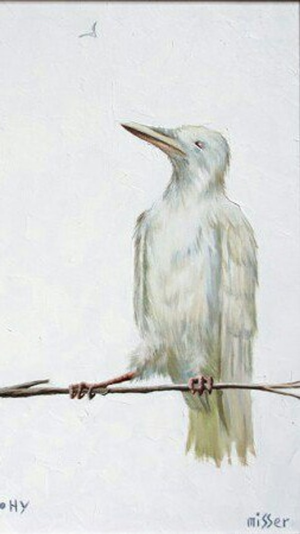 33. Ворон глазами Вестеросцев/ Ворон глазами Короля Ночи