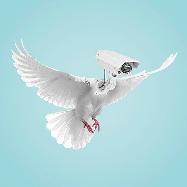 33. Ворон глазами Вестеросцев/ Ворон глазами Короля Ночи