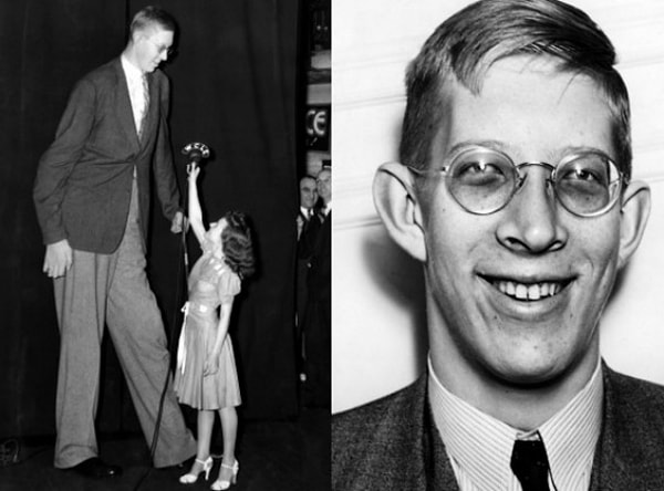 2. А какой рост был у самого высокого человека в истории?