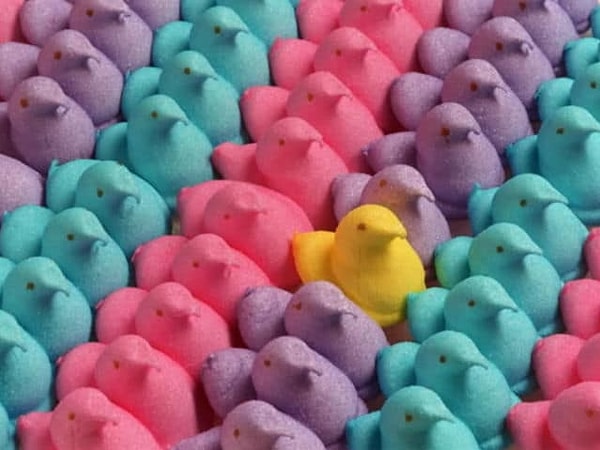 10. Ну, и последнее. Вас раздражает это фото?