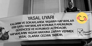 Komşusu Kedileri İstemedi, Belediye Sahip Çıktı: Hayvansever Kadına Pankartlı Destek
