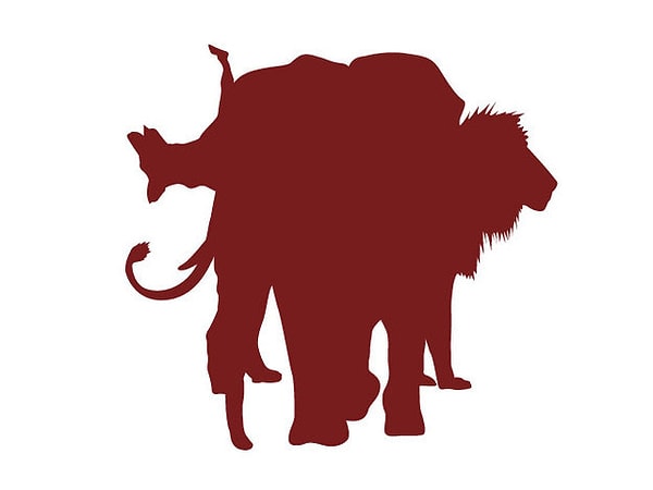 1. Сколько животных вы видите на картинке?