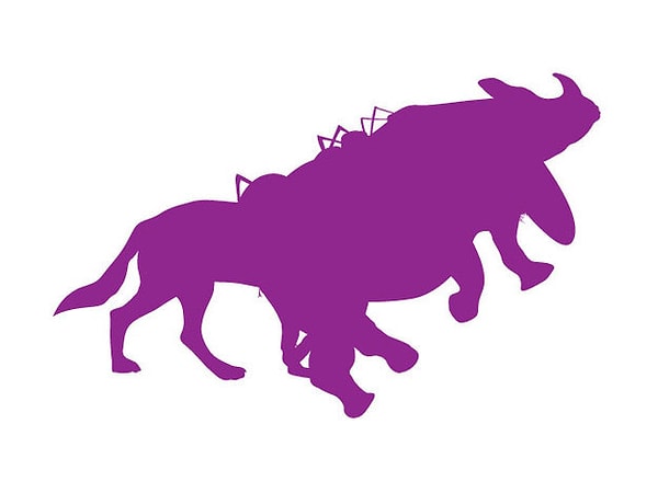 3. Сколько животных вы видите на картинке?