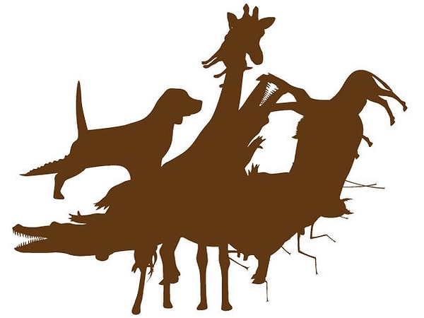 6. Сколько животных вы видите на картинке?