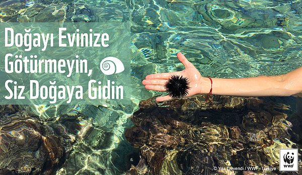 9. Doğayı evinize götürmeyin, siz doğaya gidin