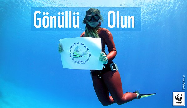 10. Gönüllü olun