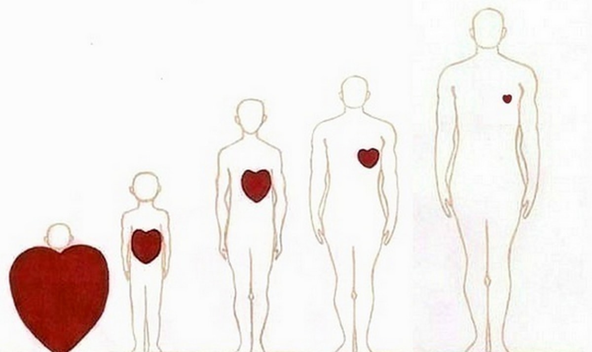 12. Büyüdükçe azalan masumiyet. 