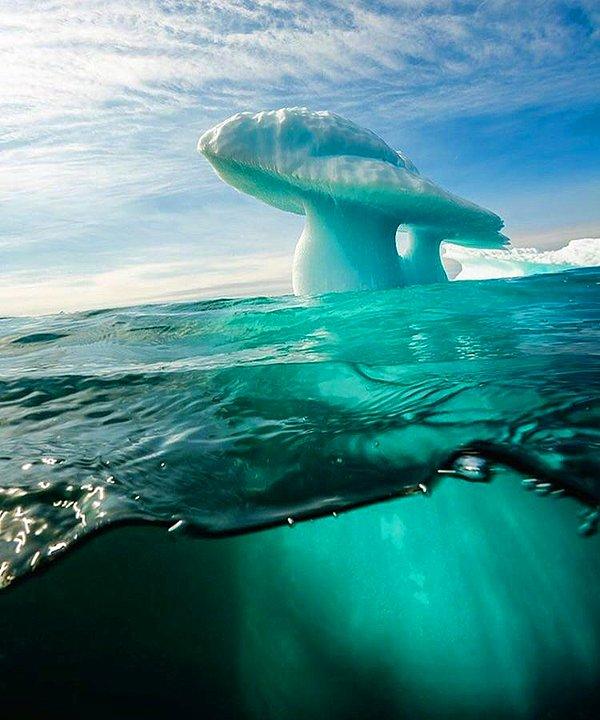 8. Grönland'daki mantar şekilli buzdağı.