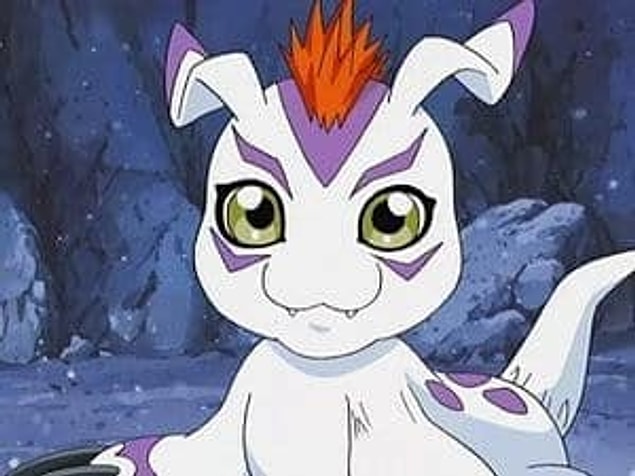Gomamon çıktı!