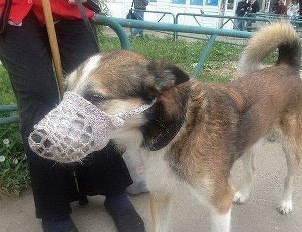 8. Бабушка связала