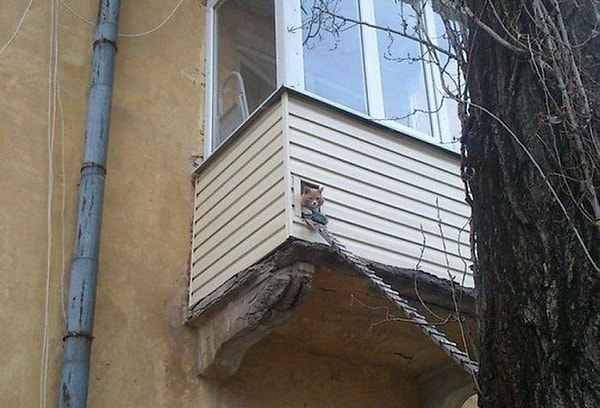 20. Лаз для кота по-русски