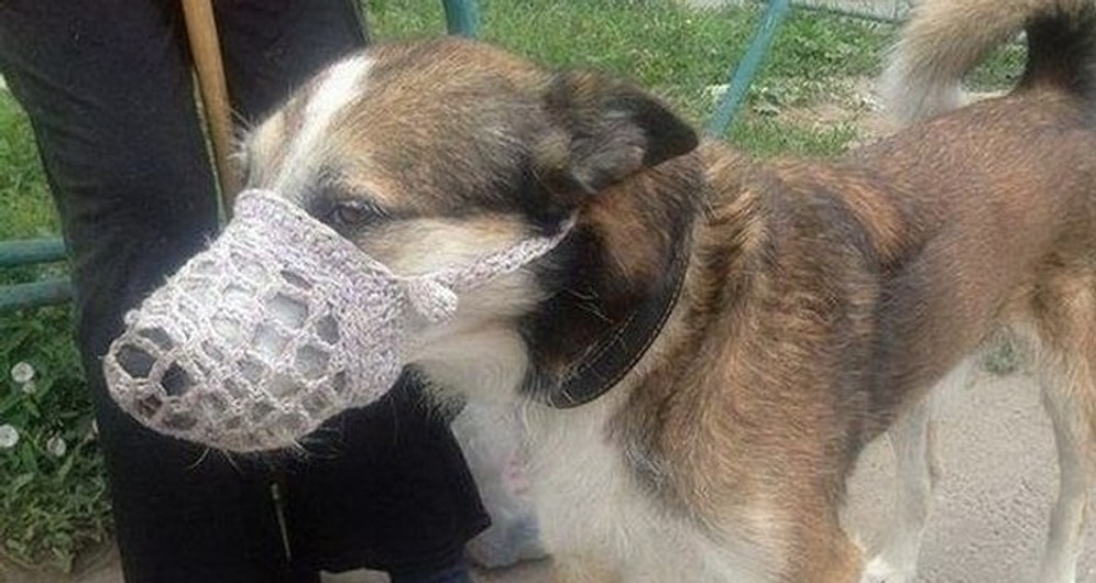 Такое может случиться только в России: подборка уморительных фото