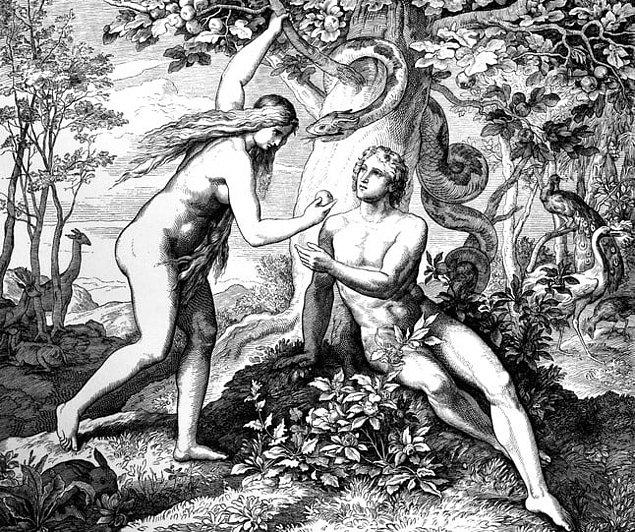 2. Adem ve Havva hikayesindeki yasak meyvenin elma olduğuna dair hiçbir ima yok.