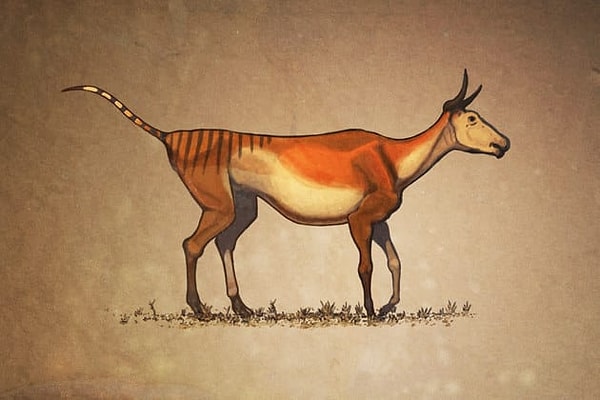 3. Уже полегче...