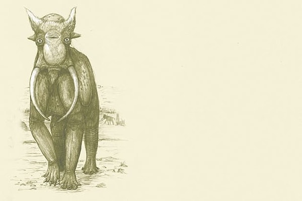 7. А что это за странное существо?