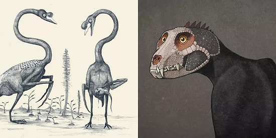 Тест: Cможете ли вы предположить, что за животное на картинке?