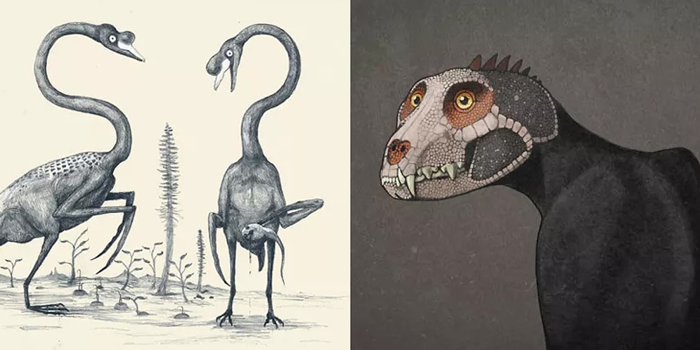 Тест: Cможете ли вы предположить, что за животное на картинке?