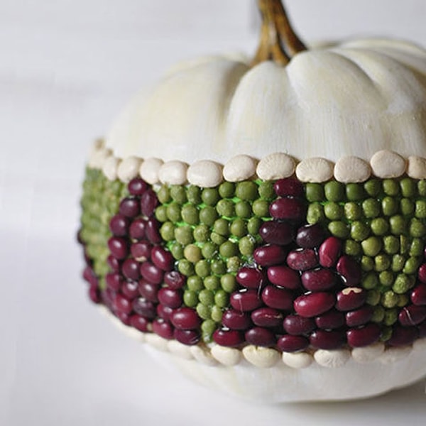 7. "Бобовая" тыква