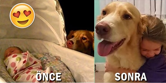 Kötü Geçen Bir Günün Ardından Bile İçinizde Çiçekler Açtıracak 17 Sıcacık Görüntü