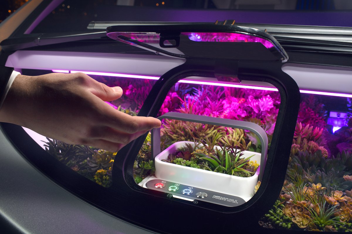 Сад находится прямо за ветровым стеклом.