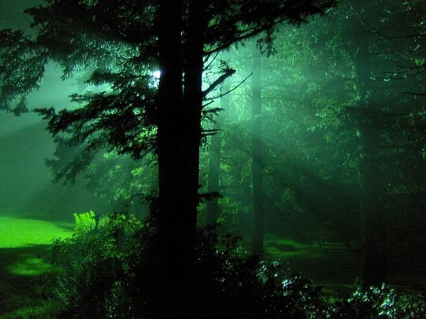 Вы - загадочная личность.