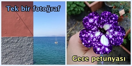 Şöyle Ağız Dolusu Bir 'Vay Be' Çektirip Gördüğünüze Pişman Etmeyecek 21 Şaşırtıcı Kare