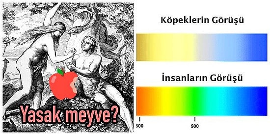 Yanlış Biliyormuşuz! Kulaktan Dolma Malumatınıza Veda Ettirecek 16 Sarsıcı Gerçek