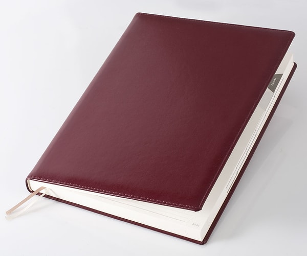 6. Как вы относитесь к ежедневникам?