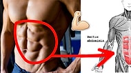 15 Maddeyle Göbeğinizin Altında Saklanmış Karın Kaslarınıza Ulaşmanın Yolunu Açıklıyoruz!