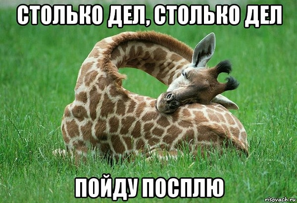 6. Когда не знаешь за что взяться, ложись спать.