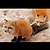 stopwearingfur_kurkgiyme