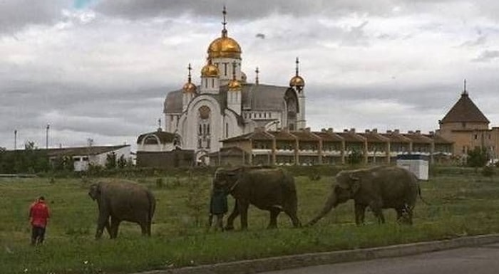 Сделано в России: 23 умопомрачительных фото