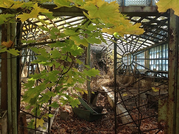 5. А вот эта построенная на совесть теплица возле одной из школ пользуется популярностью не только у сталкеров но и у экскурсионных групп.