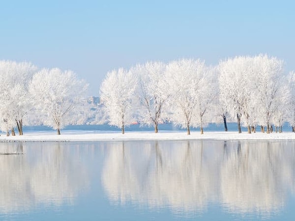 5. Какое чувство вызывает у вас эта фотография?
