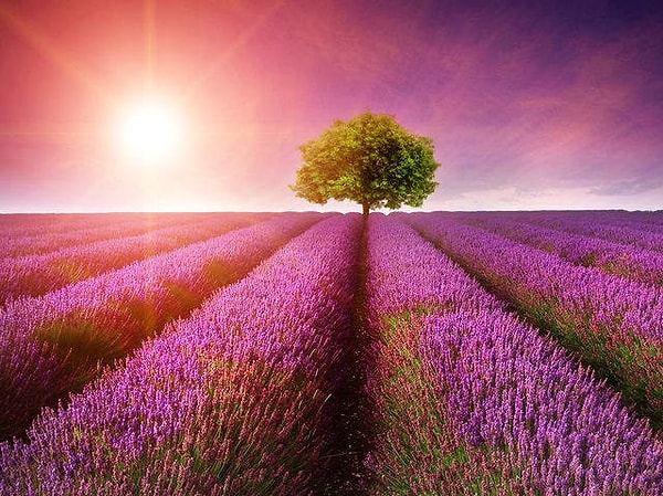 6. Быстро и не задумываясь выберите цвет!