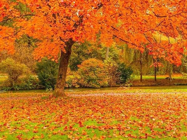 7. И еще один!