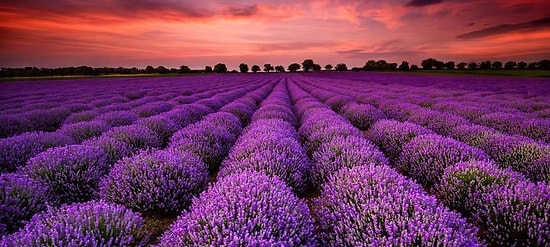 Этот цветовой тест с легкостью определит, какой у вас тип мышления!