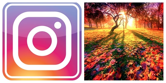 7 самых лучших фото и видео недели из нашего Инстаграма