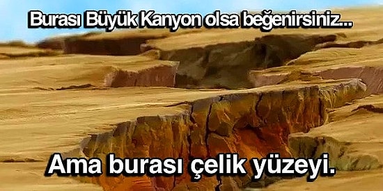 Ne Olduğu Konusunda İlk Bakışta Sizi Mutlaka Yanıltacak 22 Elektron Mikroskobu Görüntüsü