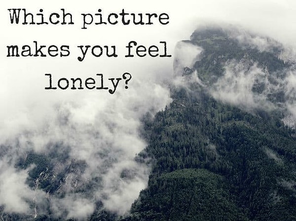 5. А какая из картинок придает вам чувство одиночества?