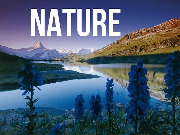 Ваше подсознание все время думает о природе.