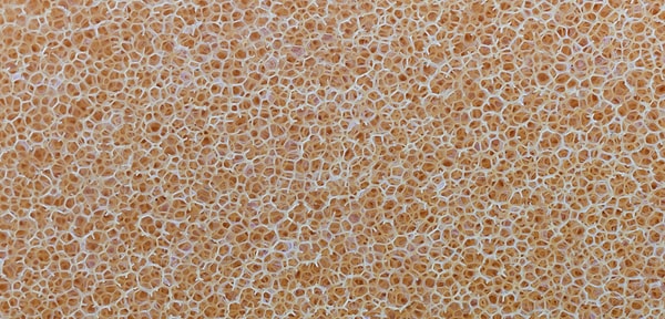 3. Это растение - люфа. Что думаете о нем?